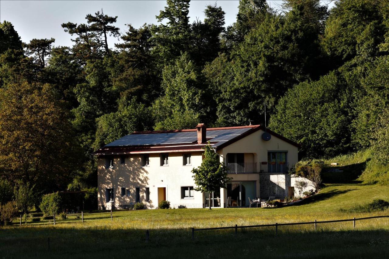 Guesthouse Idila Pod Nanosom Senozece Esterno foto