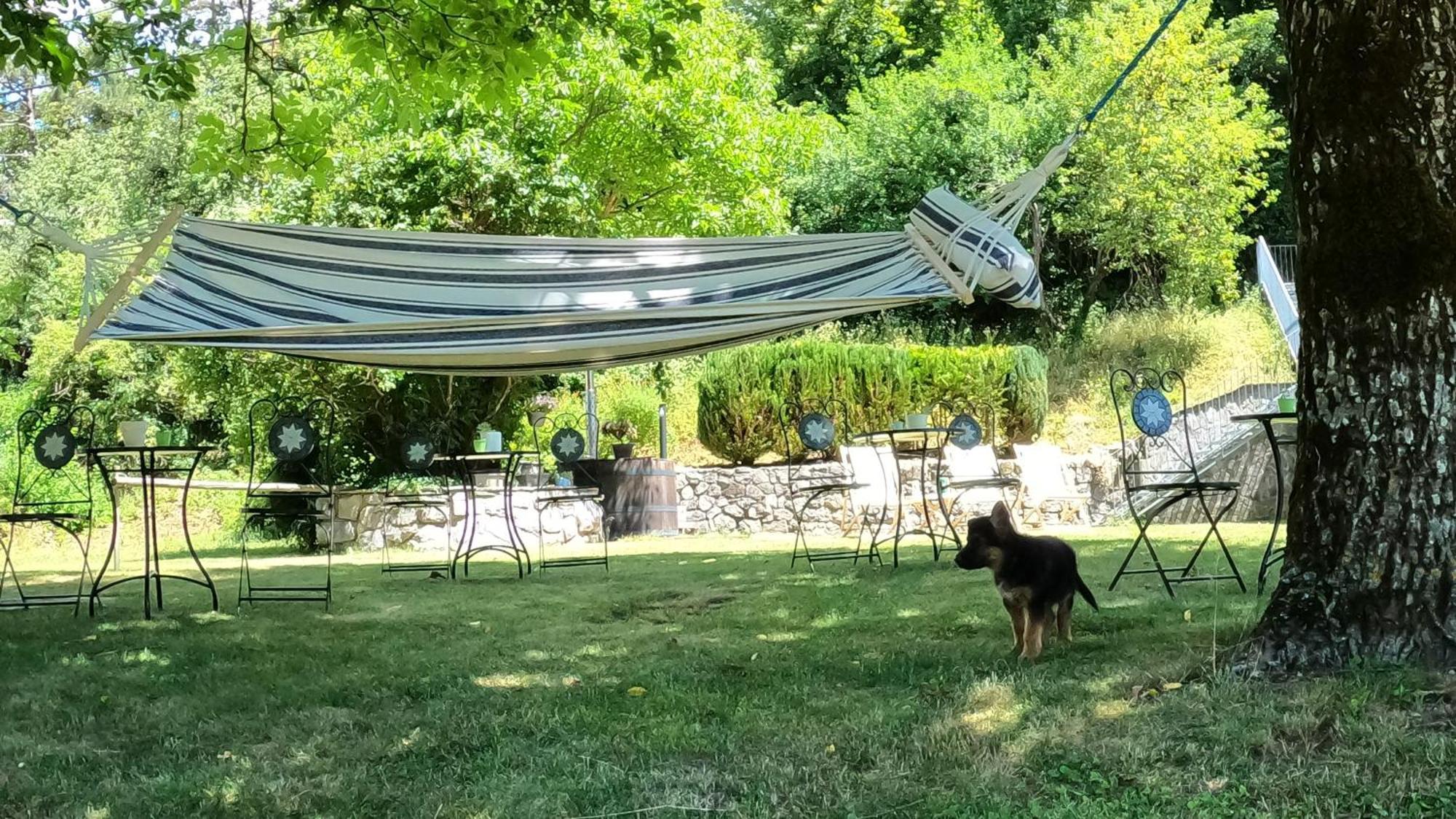Guesthouse Idila Pod Nanosom Senozece Esterno foto