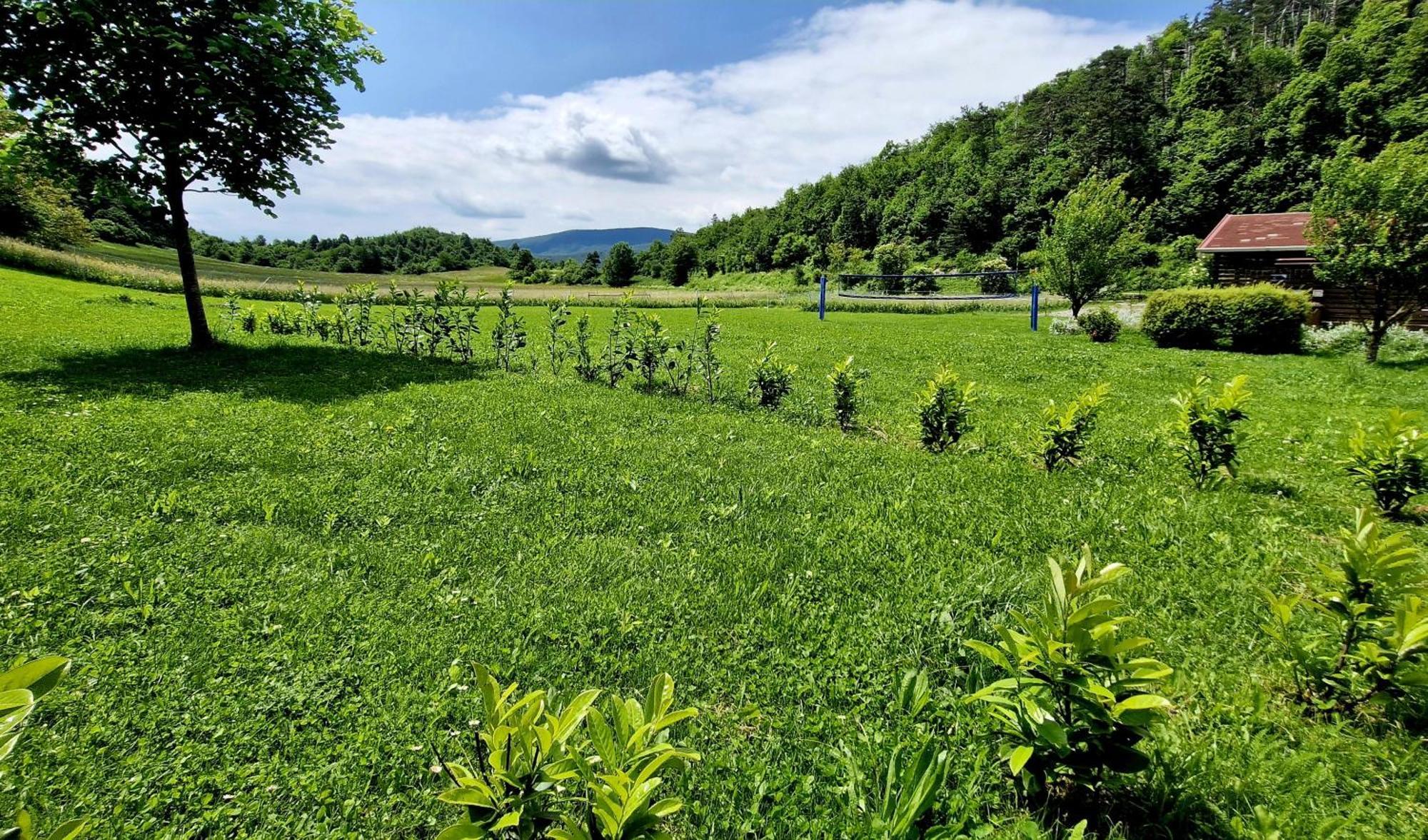 Guesthouse Idila Pod Nanosom Senozece Esterno foto